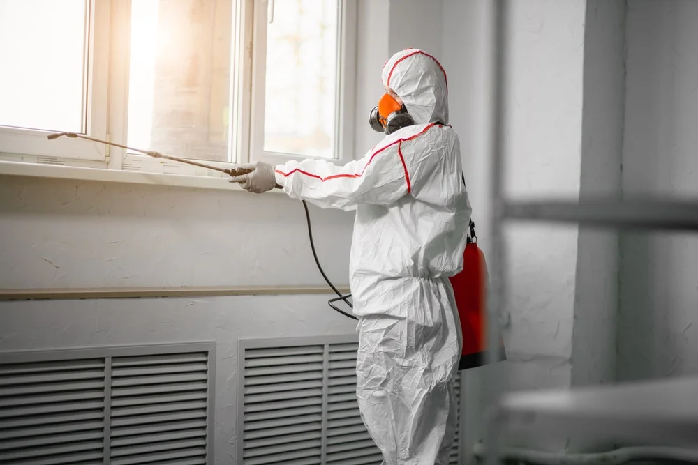 Professional mold remediation services in Waukee, IA